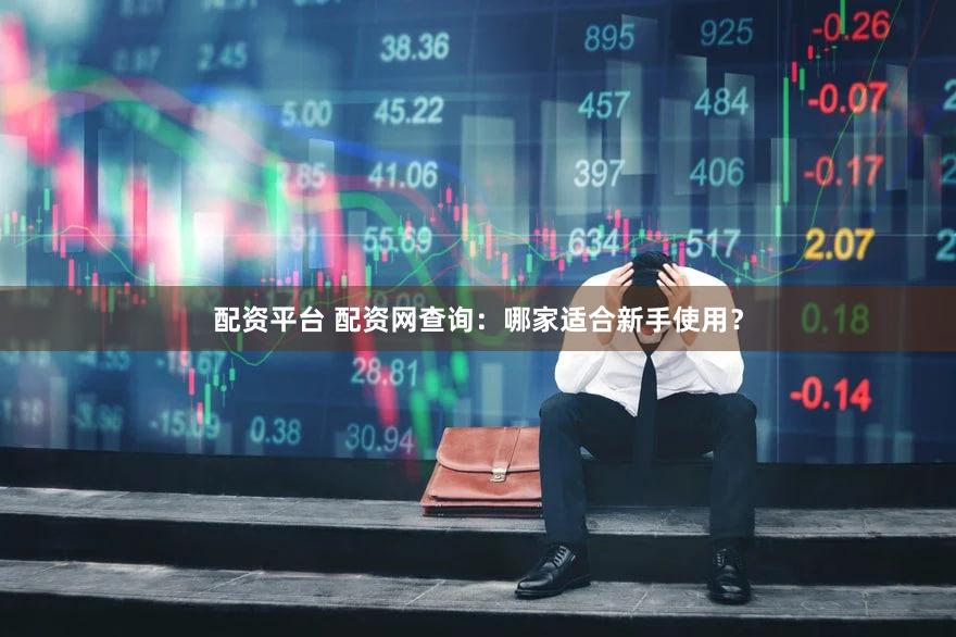 配资平台 配资网查询：哪家适合新手使用？