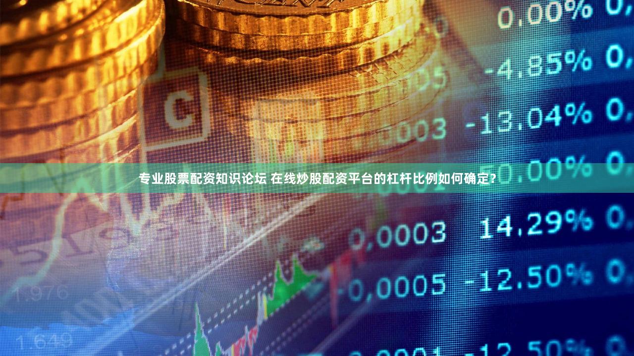 专业股票配资知识论坛 在线炒股配资平台的杠杆比例如何确定？