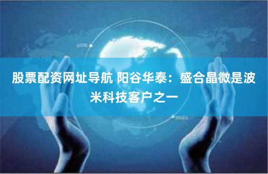 股票配资网址导航 阳谷华泰：盛合晶微是波米科技客户之一