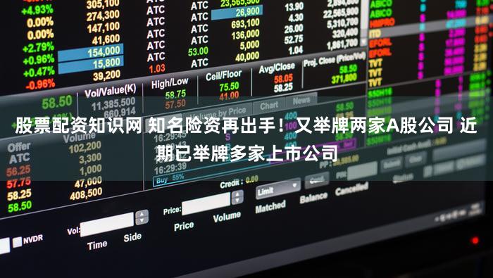股票配资知识网 知名险资再出手!又举牌两家A股公司 近期已举牌多家上市公司