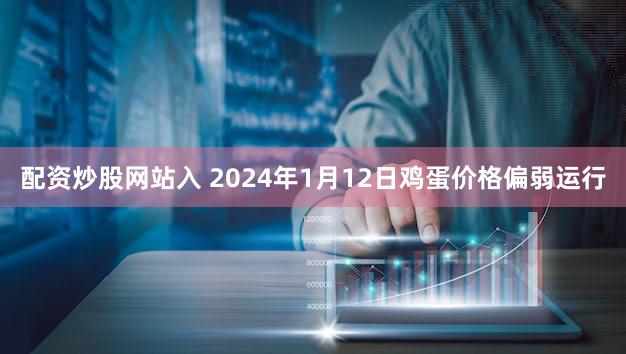 配资炒股网站入 2024年1月12日鸡蛋价格偏弱运行