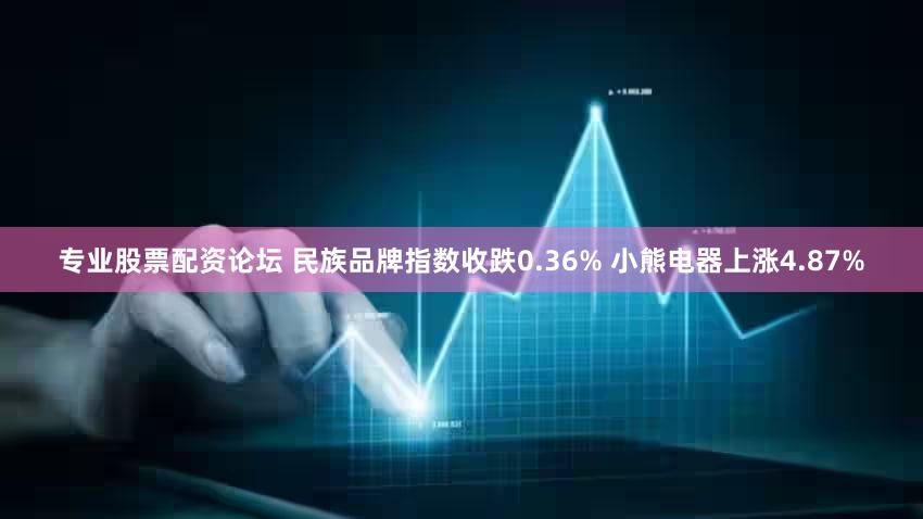 专业股票配资论坛 民族品牌指数收跌0.36% 小熊电器上涨4.87%