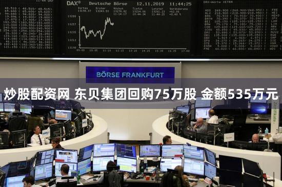 炒股配资网 东贝集团回购75万股 金额535万元