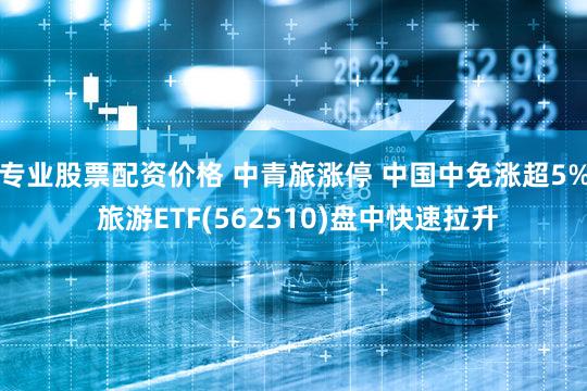 专业股票配资价格 中青旅涨停 中国中免涨超5% 旅游ETF(562510)盘中快速拉升
