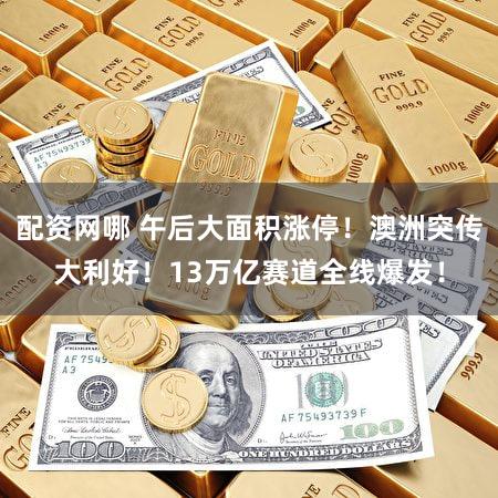 配资网哪 午后大面积涨停！澳洲突传大利好！13万亿赛道全线爆发！